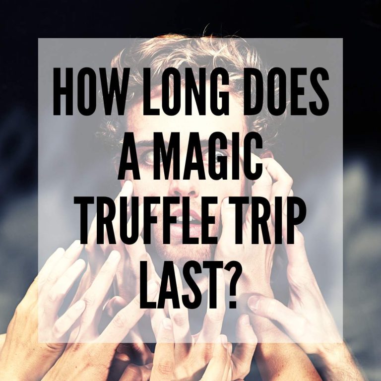 How long does a Magic Truffle trip last? Smartific