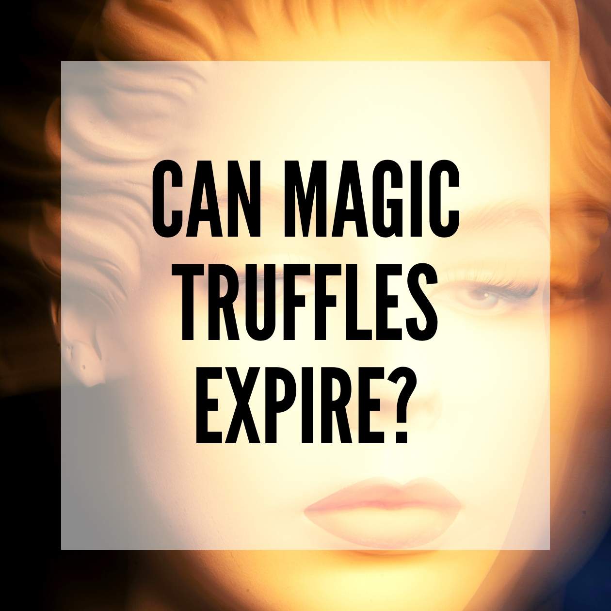 Can Magic Truffles expire and go bad - blog post thumbnail image