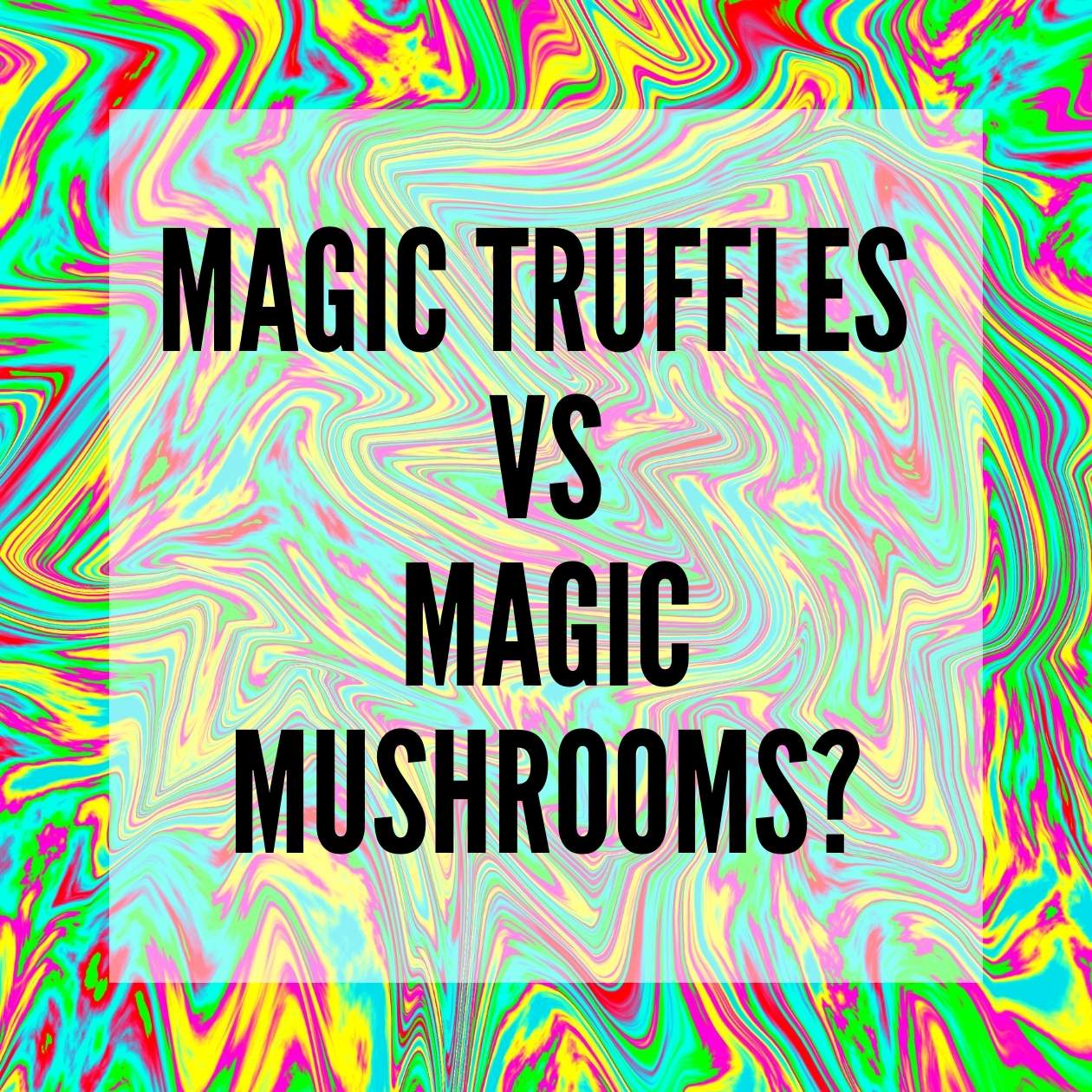 en13 - Magic Truffles vs magic mushrooms