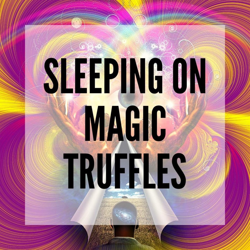 Sleeping on Magic Truffles blog post thumbnail