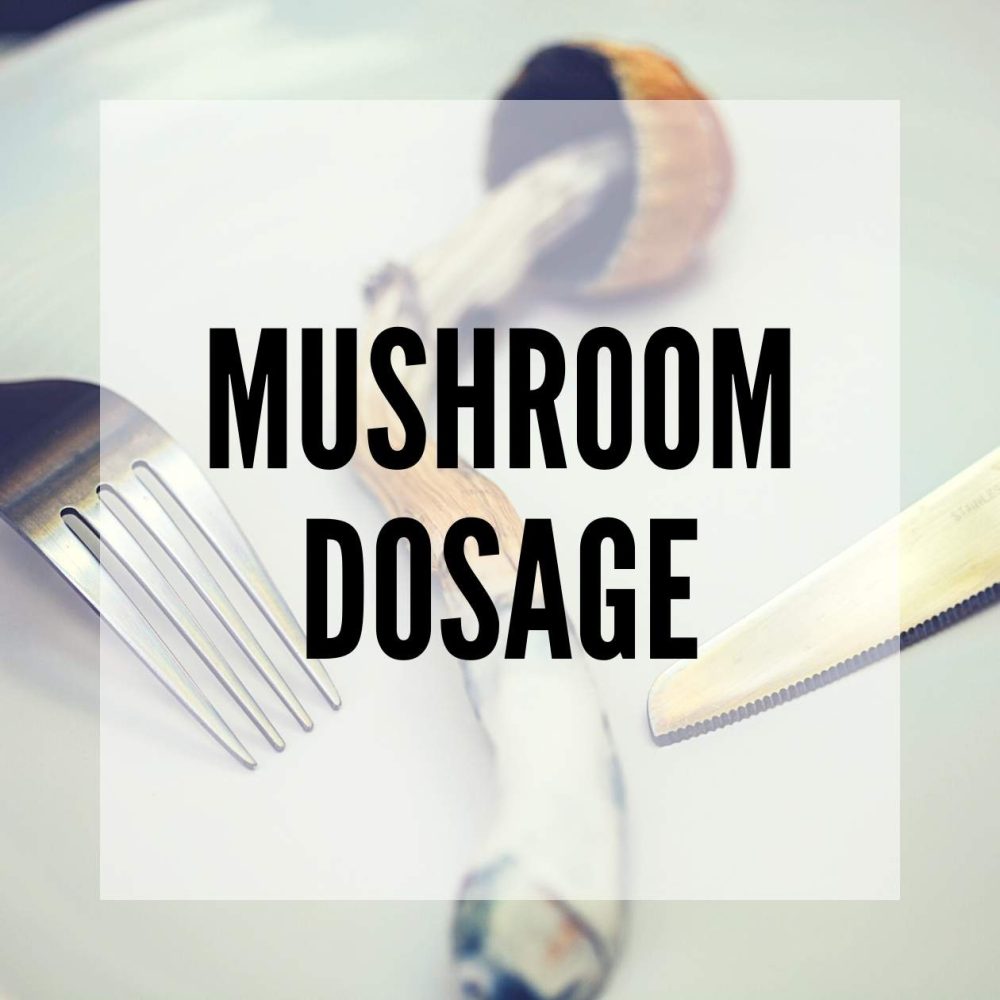 Mushroom dosage blog post thumbnail