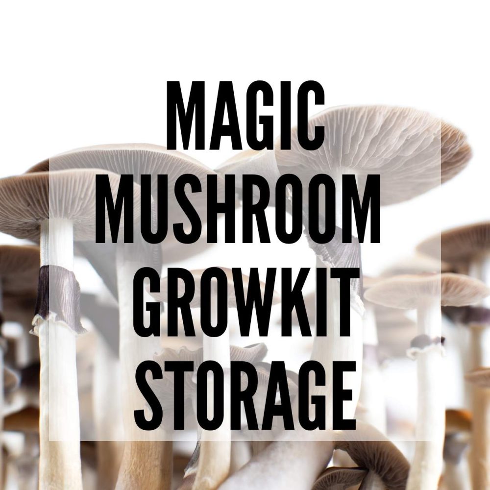 magic mushroom growkit storage