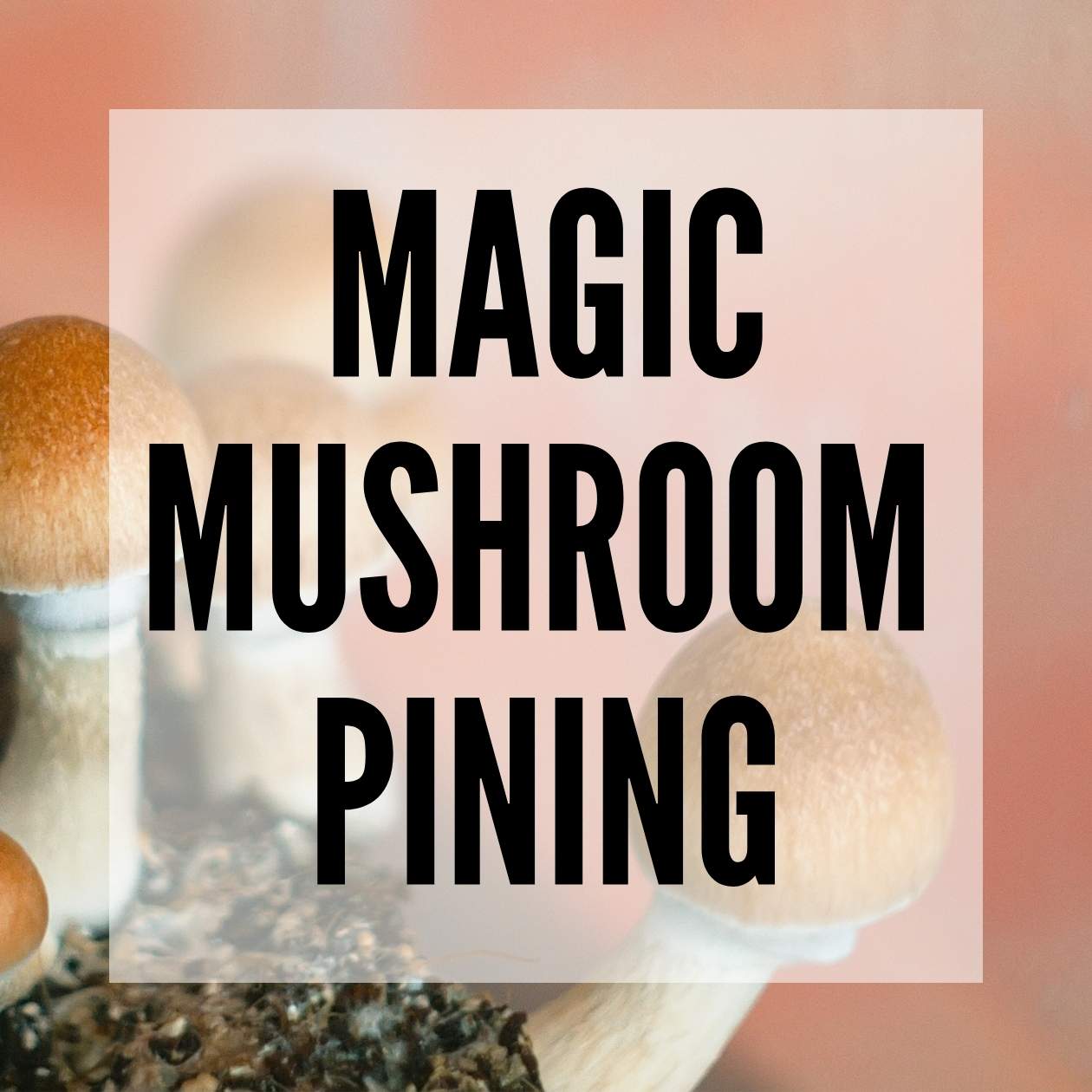 magic mushroom first pin heads