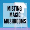 misting magic mushrooms