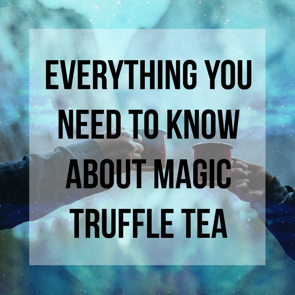 Magic Truffle Tea all you need to know