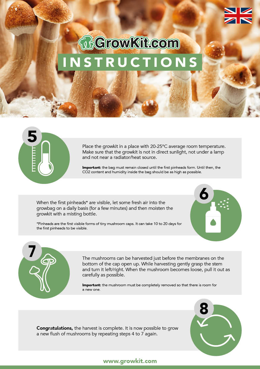 Magic mushroom grow kit instructions back Smartific