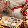 What is a cacao ceremony? Find the answer at Smartific