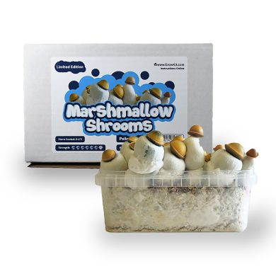 Marshmallow Shrooms Growkit Front - Smartific