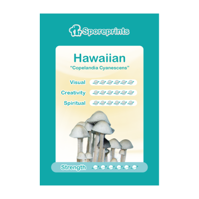 Hawaiian Sporeprint 1