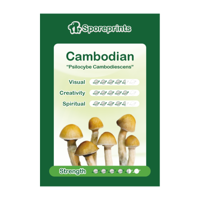Cambodian Sporeprint 1