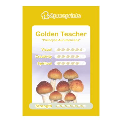 Golden Teacher Sporeprint 1