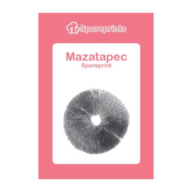 Mazatapec Sporeprint 2