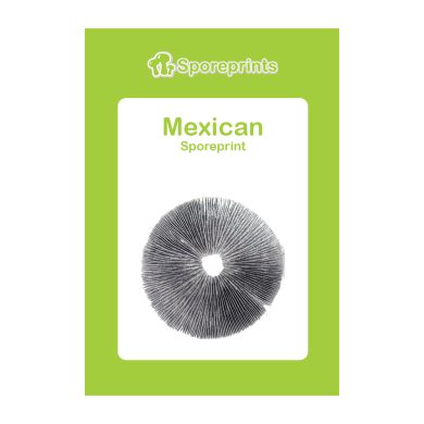 Mexican Sporeprint 2