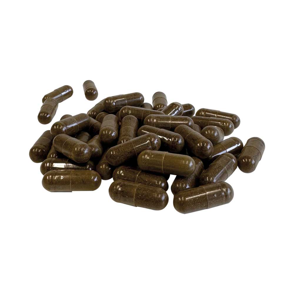 Ashwaganda capsules Ashwaganda capsules