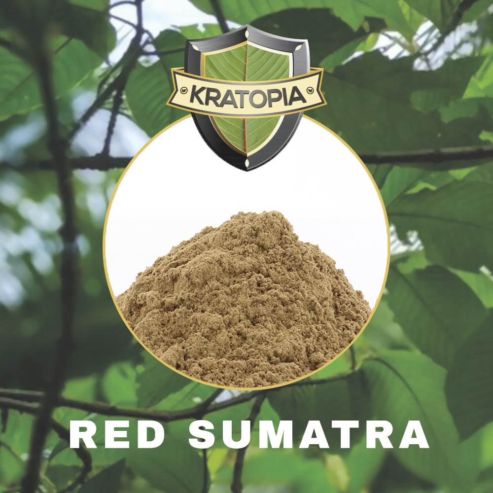 Red Sumatra Contents Red Sumatra Contents