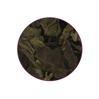 Salvia Divinorum contents