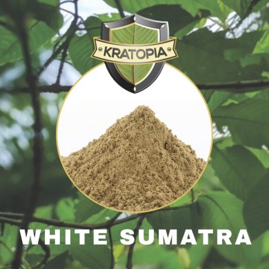 White Sumatra Contents